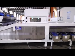 Macadamia, die Ausrüstung sortieren