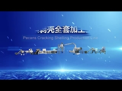 Intelligente Pekannüsse, die Fertigungsstraße schälend knacken