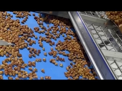 Datierungsmaschine 0312