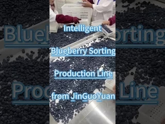 Blaubeersortieranlage von JGY