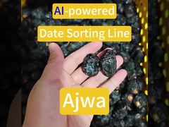 Smart Dates Sortiermaschine-Ajwa Sortierfach